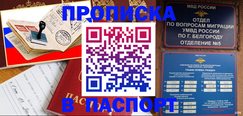 купить прописку в Борзе